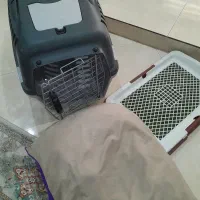 باکس سگ و گربه با تشک خواب و پت دستشویی