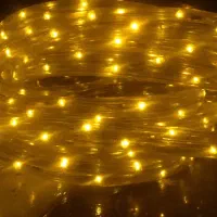 ریسه شیلنگی|ریسه و چراغ تزئینی|داراب, |دیوار