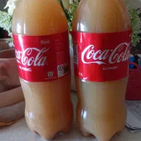 سرکه سیب،سرکه انگور،سرکه خرمالو وابغوره