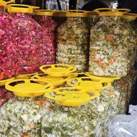 تولید انواع ترشیجات محلی با کیفیت عمده|عمدهفروشی|رشت, چله خانه|دیوار