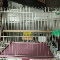 قفس کاسکویی