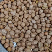نخود آبگوشتی