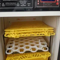 دستگاه جوجه کشی ۲۱۰ تایی هدایت|لوازم جانبی حیوانات|آستانه اشرفیه, |دیوار