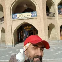 کبوتر گمشده