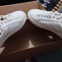 کفش|کیف، کفش، کمربند|اهواز, زندوکیلی|دیوار