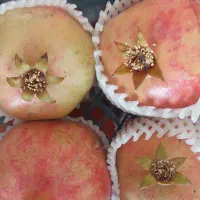 فروشنده میوه فروشی