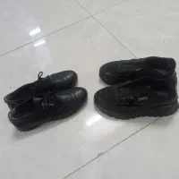 دوجفت کتونی مشگی در حد نوع