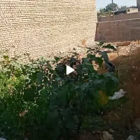 زمین-فروشی