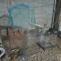 فروش قفس|لوازم جانبی حیوانات|اهرم, |دیوار