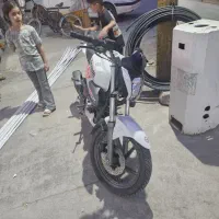 بنلی درحد صفر