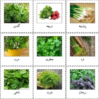 انواع بذر سبزیجات و صیفی جات ایرانی و خارجی