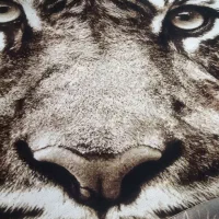 گلیم فرش ۶ متری