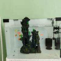 آکواریوم و تمام تجهیزاتش درحد