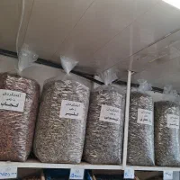 تخمه آفتابی وکدو خام وطعم دار