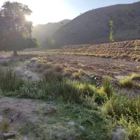 زمین-جاده-سندتک-برگ