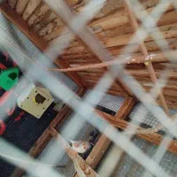 رنگ فروشی|لوازم جانبی موبایل و تبلت|بندرعباس, |دیوار