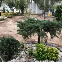 باغبانی تعویض گلدان هرس کرج چهارباغ مهرشهر کیانمهر|خدمات باغبانی و درختکاری|چهارباغ, |دیوار