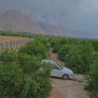 فروش باغ به صورت هزار متری و دوهزار متری