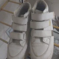 کفش|کیف، کفش، کمربند|اراک, |دیوار