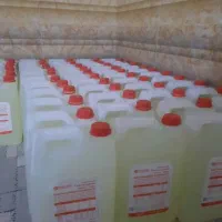 وایکتس شوینده