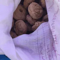 ترخینه|خوردنی و آشامیدنی|کامیاران, |دیوار