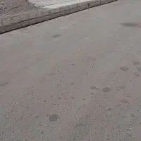 ۳۴۷|فرش|زهک, |دیوار
