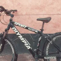 دوچرخه سالم و خوش رنگ      OLYMPIA