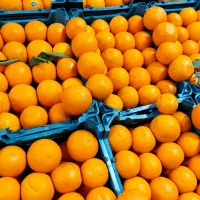 پرتغال شیرین و آبدار + هایپر میوه گلچین|خوردنی و آشامیدنی|شاهدشهر, |دیوار