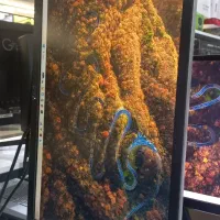 مانیتور 22 اینچ برند DELL|قطعات و لوازم جانبی رایانه|کرج, اصفهانی‌ها|دیوار