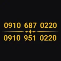 ۰۹۱۰.۶۸۷.۰۲۲۰ ۰۹۱۰.۹۵۱.۰۲۲۰