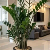 کلیه خدمات باغچه تعویض خاک گل گلکاری باغچه هرس|خدمات باغبانی و درختکاری|تهران, پاسداران|دیوار