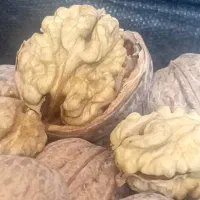 گردو پوست نازک درجه یک