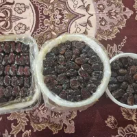 خرمای مجلسی کبکاب