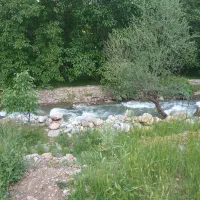 خریداریم