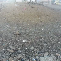 کود حیوانی گوسفندی