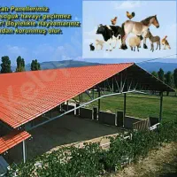 دام طیور از تولید تا اجرا ورقهای شیروانی پی وی سی