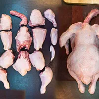 کارگر مرغ خورد کن