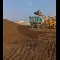 گود|خدمات باغبانی و درختکاری|اراک, |دیوار