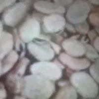 فروش باقله خشک