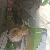 آکواریوم با تمام تجهیزات