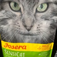 غذا گربه جوسرا