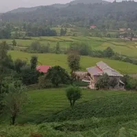 ویلا باغ جنگلی جاده قلعه رودخان فول|اجارهٔ کوتاهمدت ویلا و باغ|فومن, |دیوار