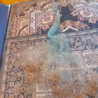 یک عددتورسالیک|ماهیگیری|خرمآباد, |دیوار