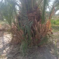 با سلام خدمت شما