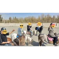 آموزش سوارکاری، گشت و طبیعت گردی با اسب|اسب و تجهیزات اسبسواری|مشهد, شهرک صنعتی توس|دیوار