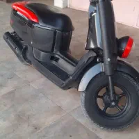 متور پاکشتی