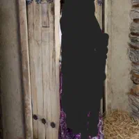 درب سنتی قدیمی