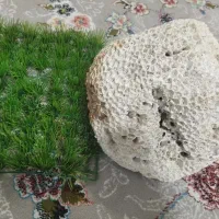 مرجان وگیاه آکواریوم