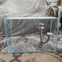اکواریوم همه کاره
