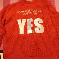 ۲ عدد هودی و دورس